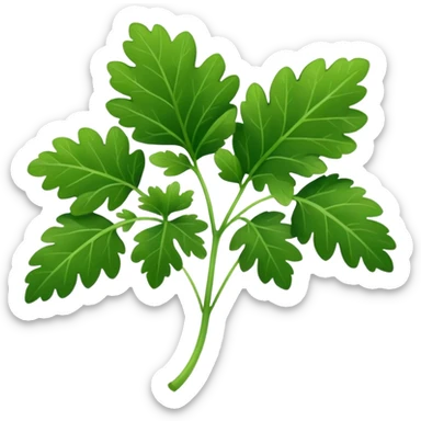 Cilantro  sticker