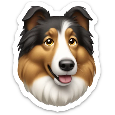 Shetland sheep dog sticker