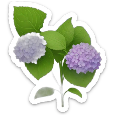 Hydrangeas flowers sticker