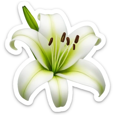 lily flower sticker