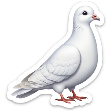 white dove pigeon sticker