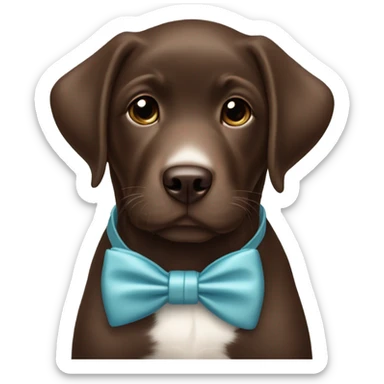 Chocolate labrador cute puppy with small white patch of fur on chest and topaz bow tie  sticker