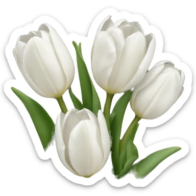 White tulips sticker