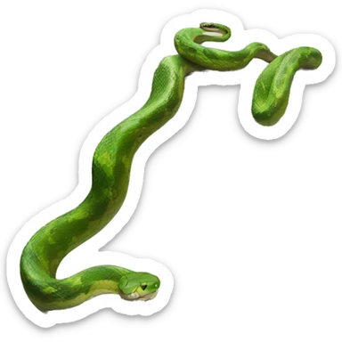 snake on house sticker