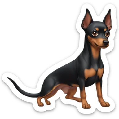 pinscher nain sticker