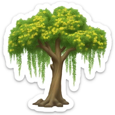 Acacia tree sticker