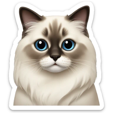 Birman cat sticker