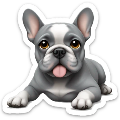 Grey Frenchie laying sticker
