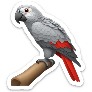 grey parrot with red tail sticker