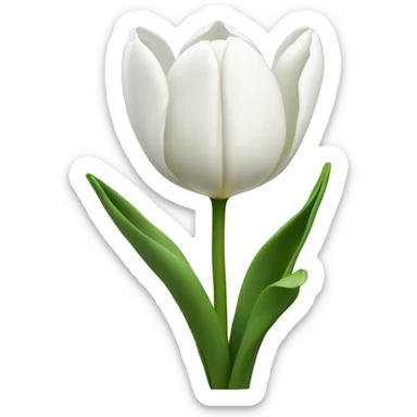 White tulips  sticker