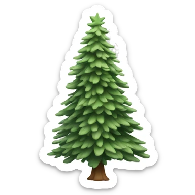  actual white fir christmas tree isolated.  sticker
