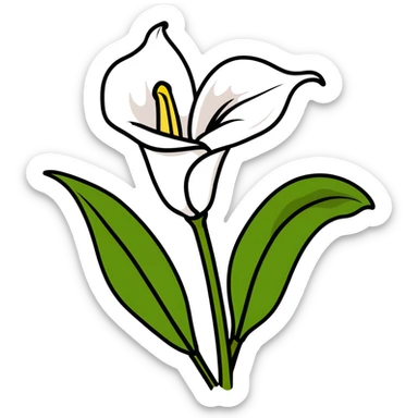 Realistic Calla Lily Zantedeschia sticker