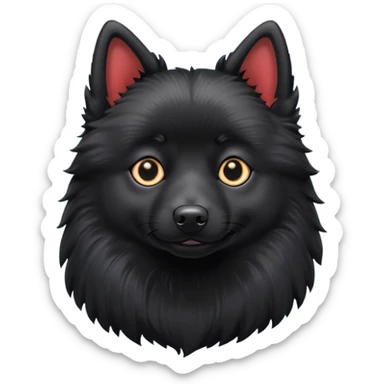 Schipperke sticker