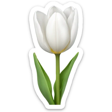 white tulip sticker