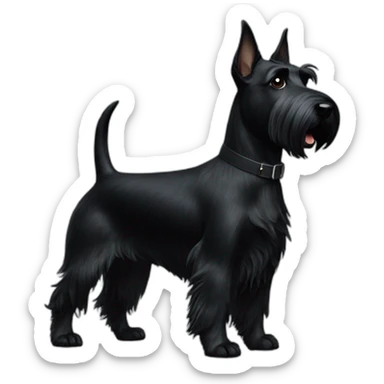 scottish-terrier-dog-black-walk-blackeyes sticker