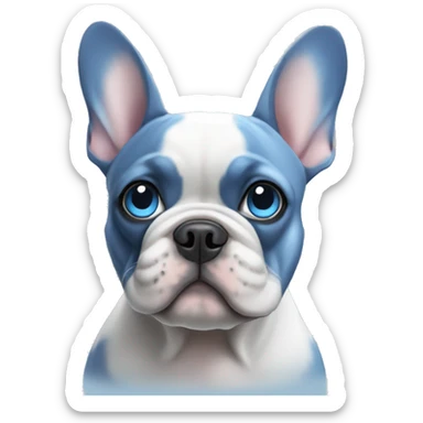 French bulldog of blue color with blue eyes sticker