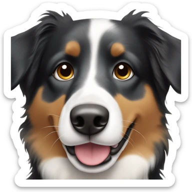 Black and white Australian Shepherd dog with tan eyebrows and his tongue sticking out slightly. sticker