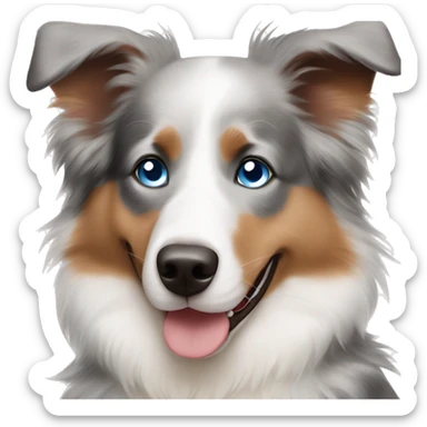 australian shepard with blue eyes sticker