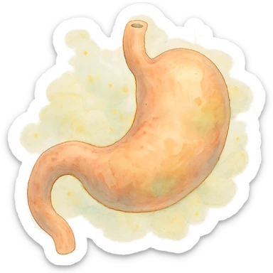 ghibli style soft and whimsical empty stomach sticker