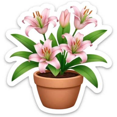 light pink lily flowers in a clay pot sticker