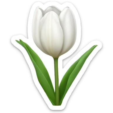 Weiße Tulpe  sticker