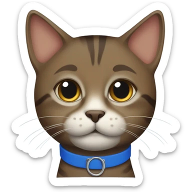 Dark brown Tabby cat blue collar sticker