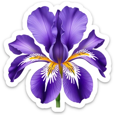 Croatian iris flower iconic  sticker