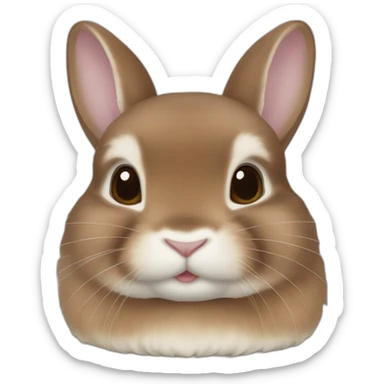 Brown netherland dwarf rabbit sticker