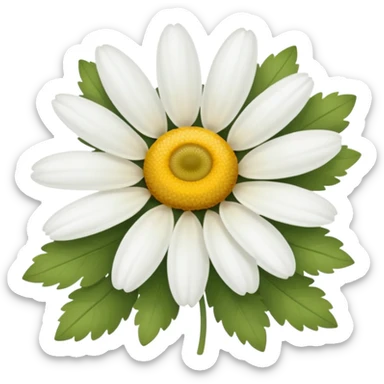 chamomile sticker
