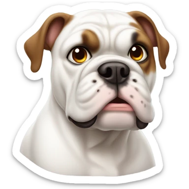 white bulldog with brown left ear sticker