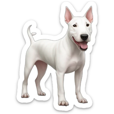 bull terrier blanc sticker