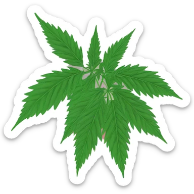 420 hemp person hemp plants chill hemp leaves vaporwave 420 sticker