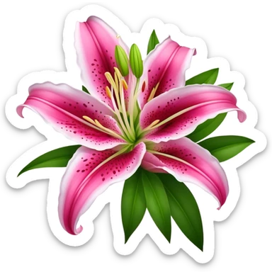 bouquet Deep Pink Oriental Lily with White Edge, luxuriant, leaf, bud sticker