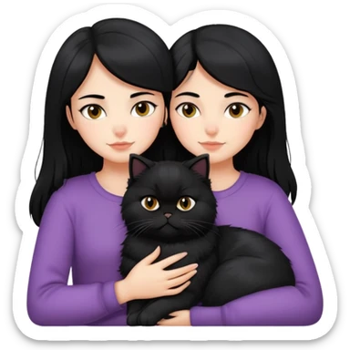 black hair girl snuggling black Persian cat sticker