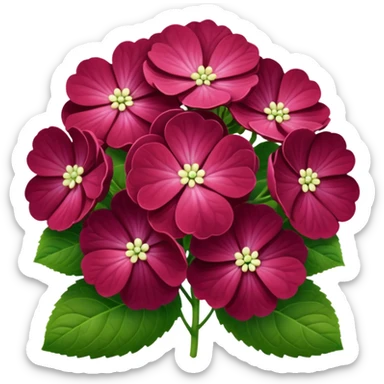 Hortensia bordeaux  sticker