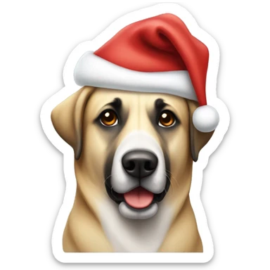 Anatolian shepherd wearing a Santa hat sticker