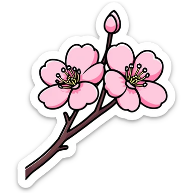 beautiful pink sakura cherry blossom flower sticker
