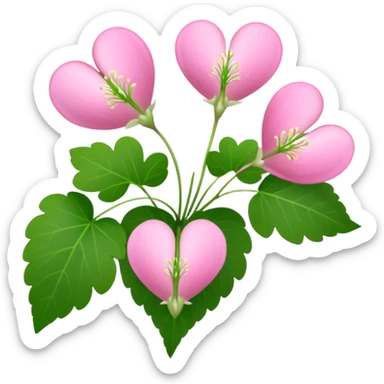 Dicentra spectabilis sticker