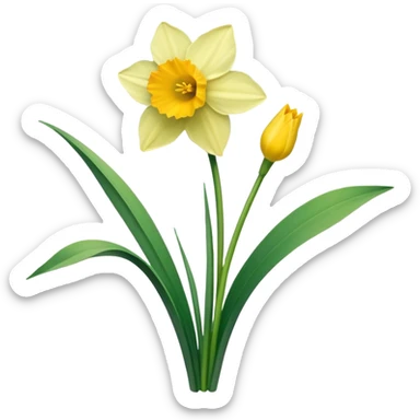 daffodil leaves sticker