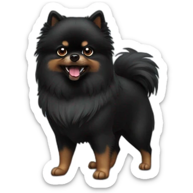 angry-black-pomeranian sticker