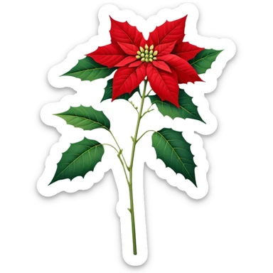 single Poinsettia flower, stem sticker