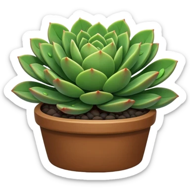 plant with small succulent like leaves sticker