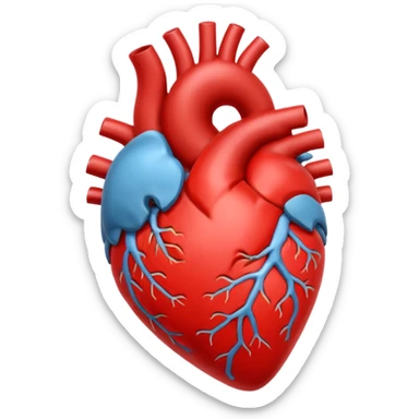 Anatomy heart on bright light  sticker