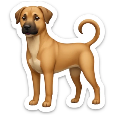 Black mouth cur dog sticker