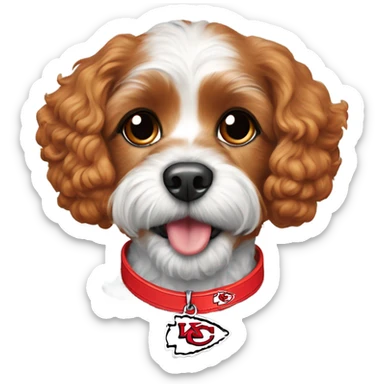 red cavapoo wearing a kansas city chiefs collar sticker