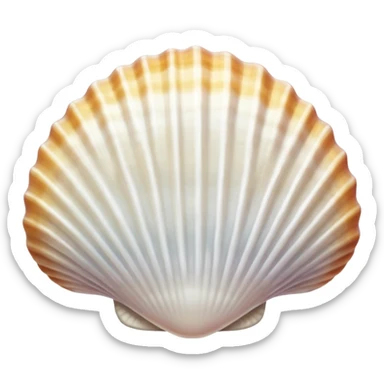 white seashell clam sticker
