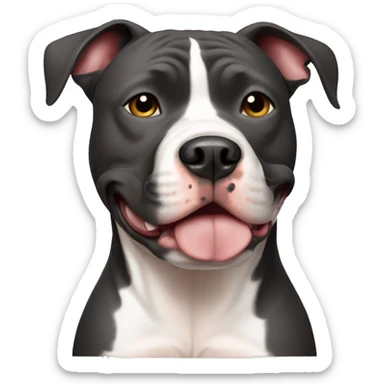 A pitbull with a white spot on his chest shaped like italy sticker