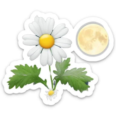 a white camomile with the Moon in the middle of it  sticker