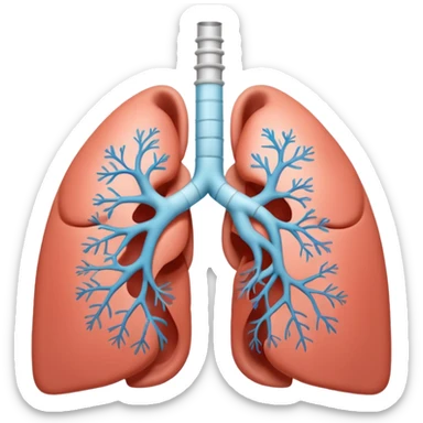 A 3D cartoon medical diagram showing lungs and airways inside a human silhouette, realistic Memoji-style. sticker
