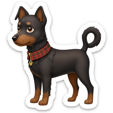 Medium size black dog with tartan collar sticker